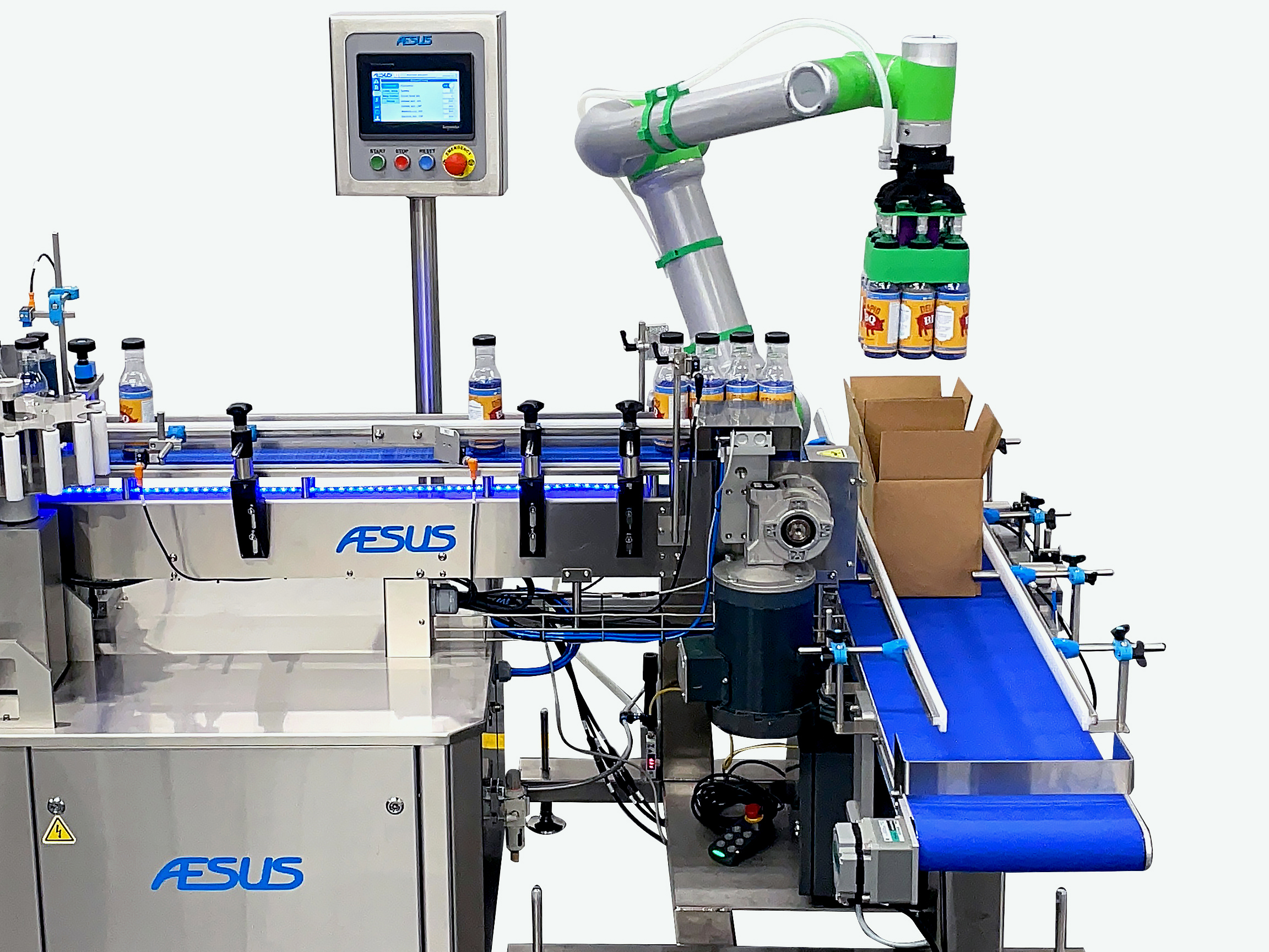 Aesus Inc. - Case Packing Equipment Product Image