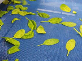 AMMEGA Group - Food & Dry Ingredient Handling Product Image