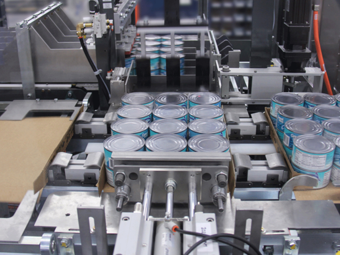 BW Packaging - Case Packing Equipment Product Image