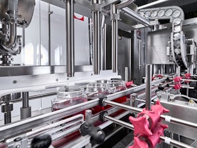Capmatic Ltd. - Food & Beverage Processing Equipment Product Image