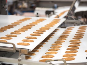 Cavanna Packaging USA, Inc - Feeding & Inserting Equipment Product Image