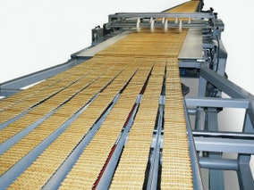 Delta Systems & Automation LLC - Conveyors Product Image