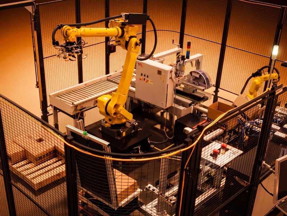 Develop LLC - Case Packing Equipment Product Image