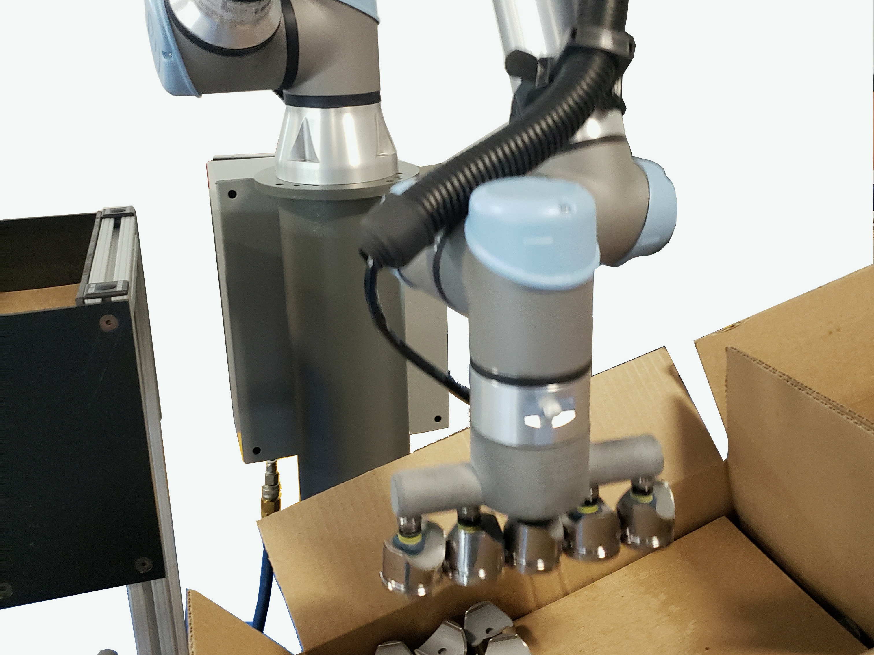 Flex-Line Automation Inc. - Case Packing Equipment Product Image