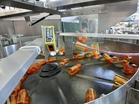 Hoosier Feeder - Food & Beverage Processing Equipment Product Image