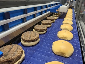 Plate Conveyor Belt for Sorting, Drying or Conveying Brewery or Bread