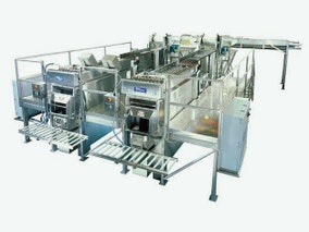 Layton Systems - Case Packing Equipment Product Image