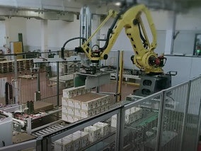 APS Packaging and Automation - Palletizing Product Image