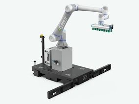 Pineberry Manufacturing - Palletizing Product Image