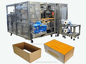 Polypack, Inc. - Case Packing Equipment Product Image