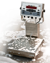 Rice Lake Weighing Systems - Ingredient & Product Handling Equipment Product Image