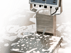 Rice Lake Weighing Systems - Ingredient & Product Handling Equipment Product Image