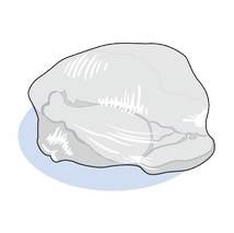 Flexible Vacuum Shrink Pack Package Type Icon